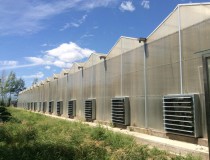 溫室大棚墻體建造過(guò)程中注意事項(xiàng)