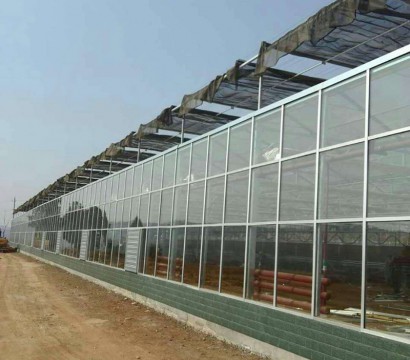 Texture greenhouse